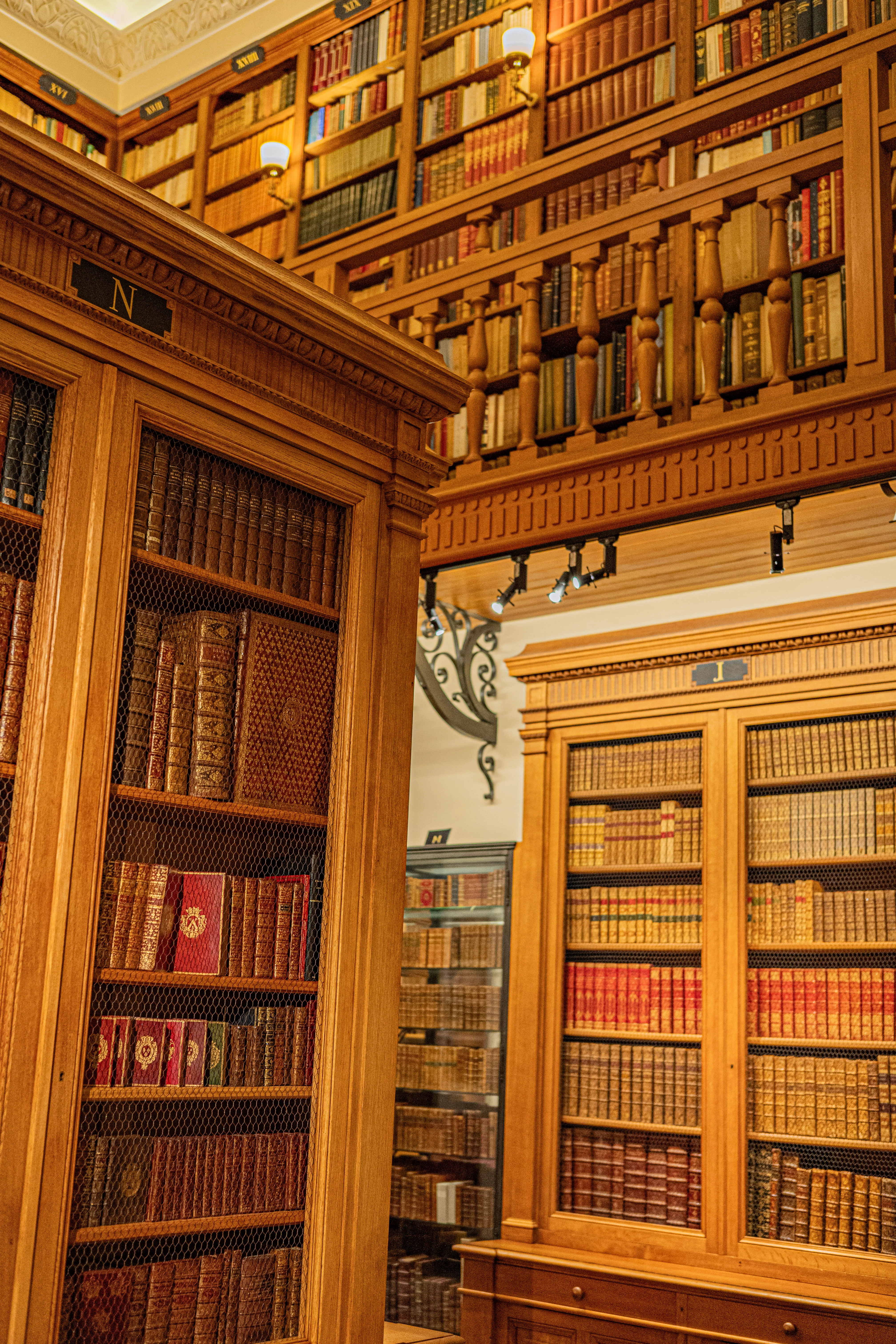 Dédale de vieux livres
