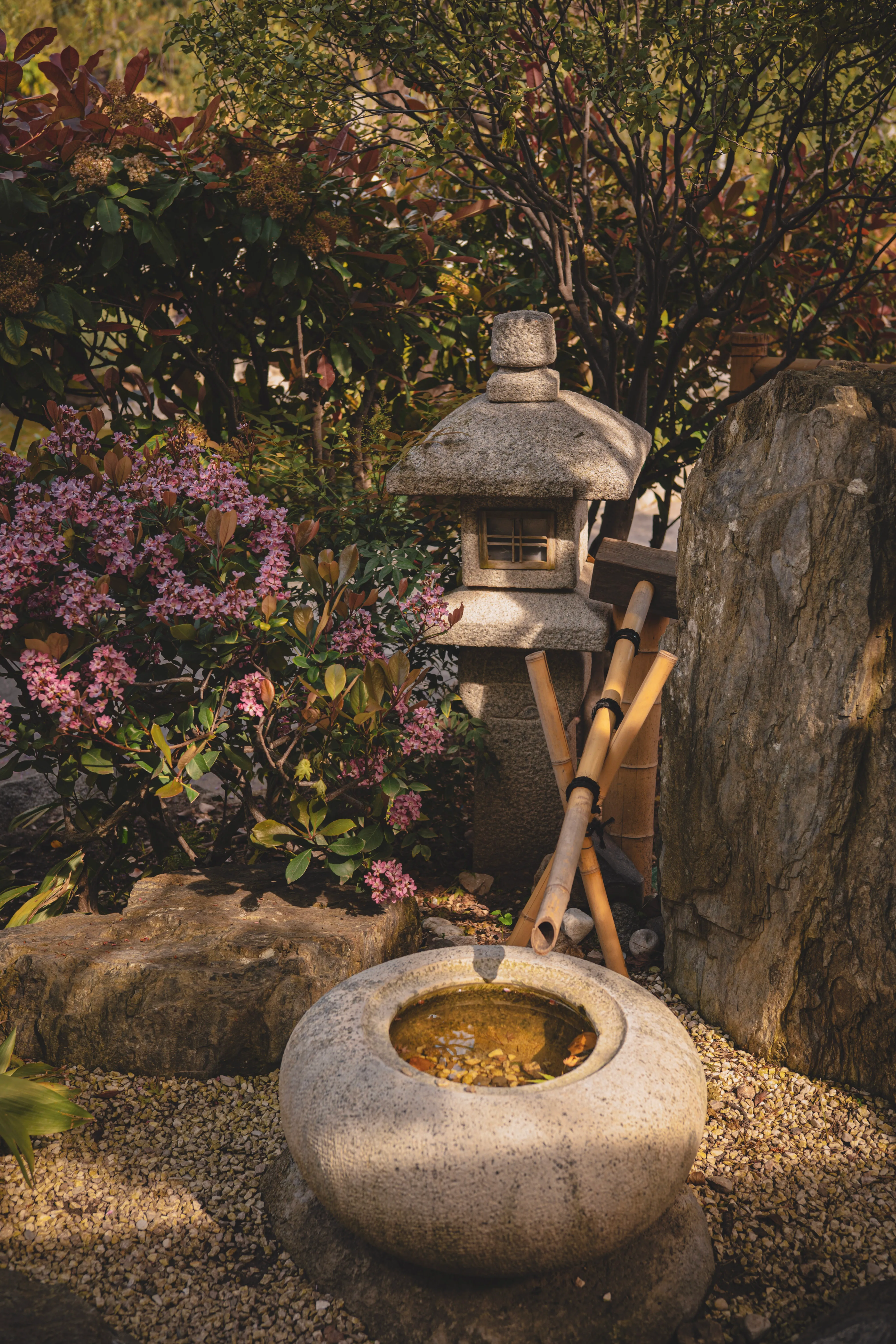 Jardin japonais en fleurs