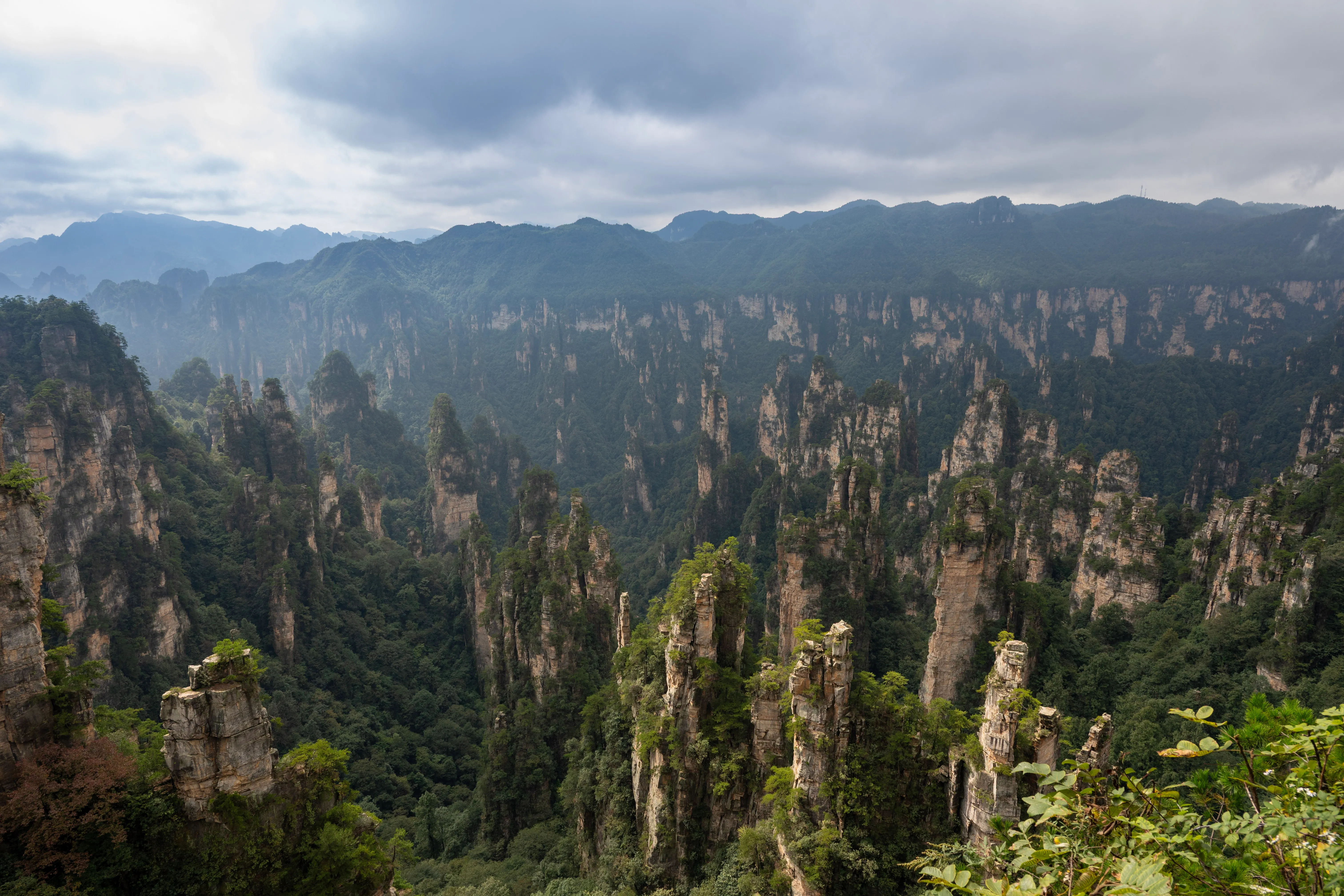Zhangjiajie : les formations qui ont inspiré les montagnes flottantes d'Avatar. Les pitons rocheux de Zhangjiajie émergeant de la forêt luxuriante
