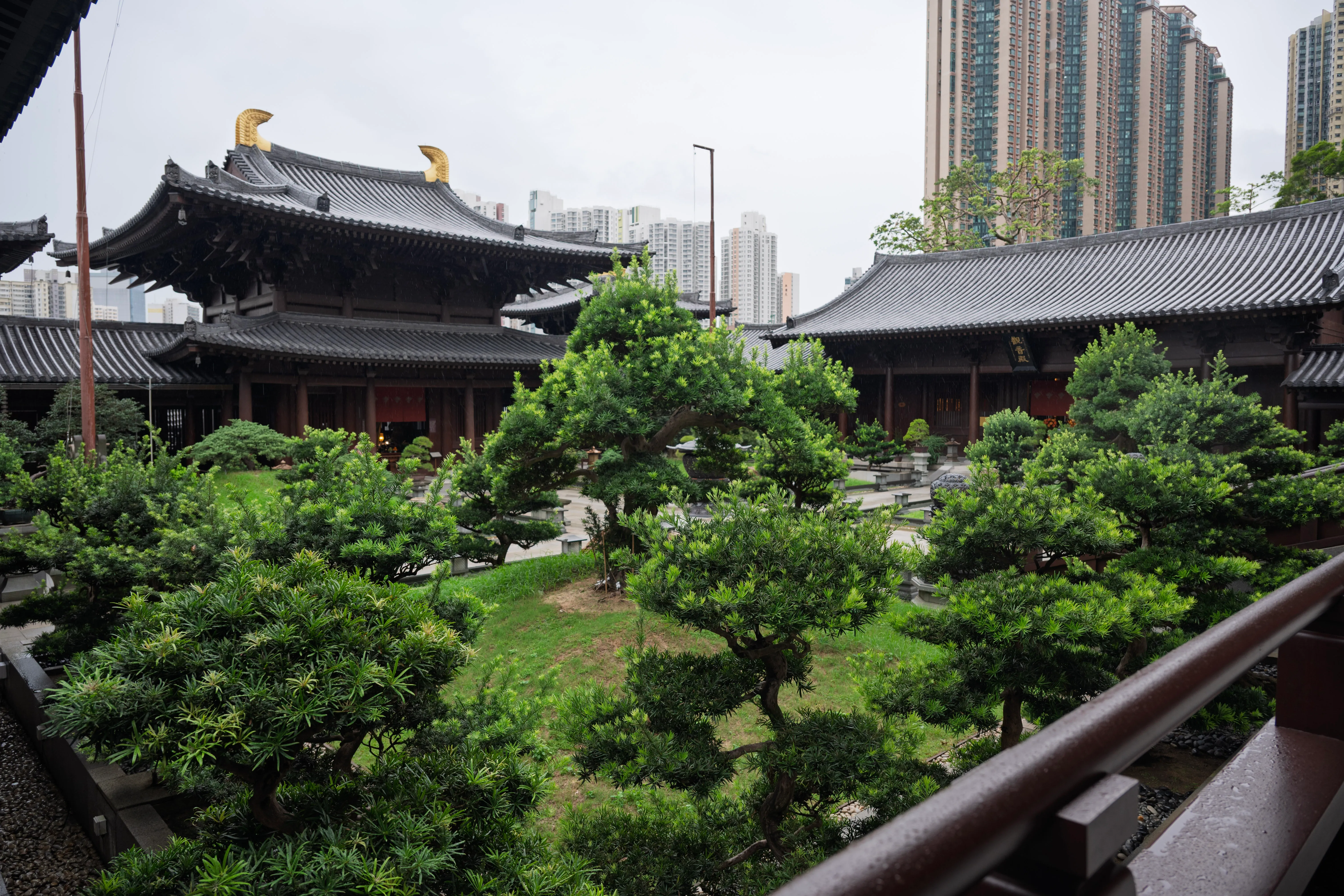 Jardin zen face aux tours